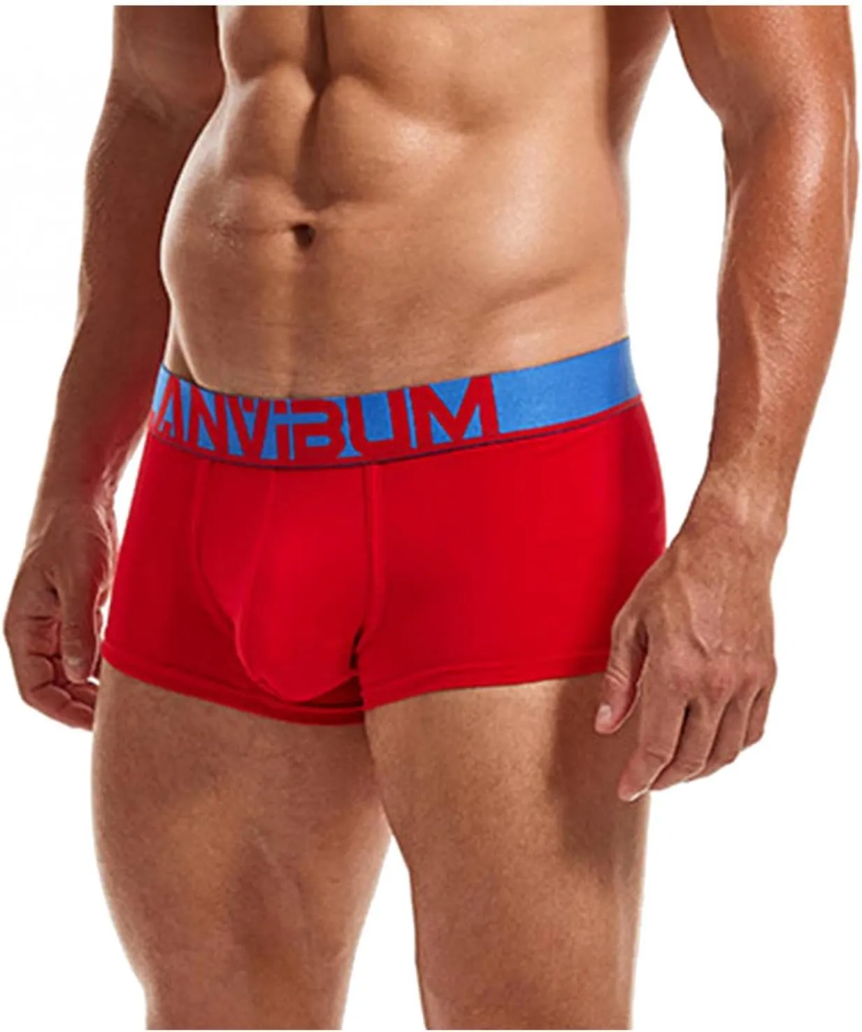 Mens Underwear with Pouch Men's Underwear Soft Viscose Boxer Briefs, Tagless Mens Boxer Briefs with Pouch Underpants