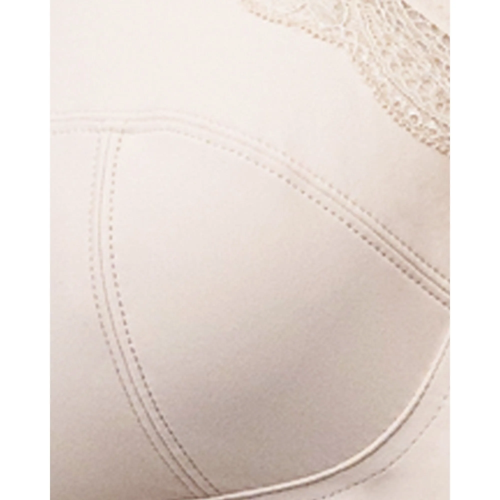 Padded Wide Strap Wirefree Plus Size Bra