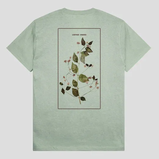 Pass~Port Lantana Tee - Stonewash Green