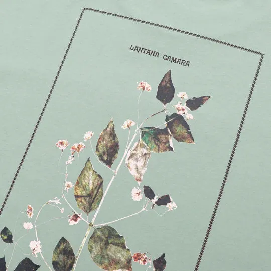 Pass~Port Lantana Tee - Stonewash Green